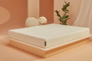 sheep standing next to mattress